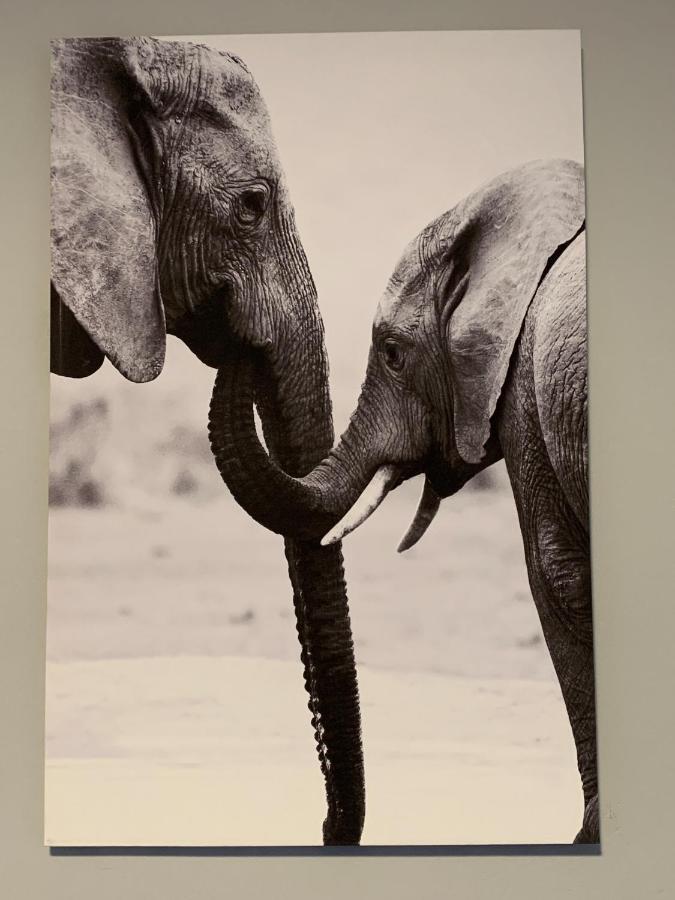 Elephant House, 2 Bedroom House, Next To Pilanesberg And Sun City Mogwase Buitenkant foto